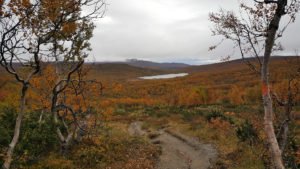 Vy över Keusodalen